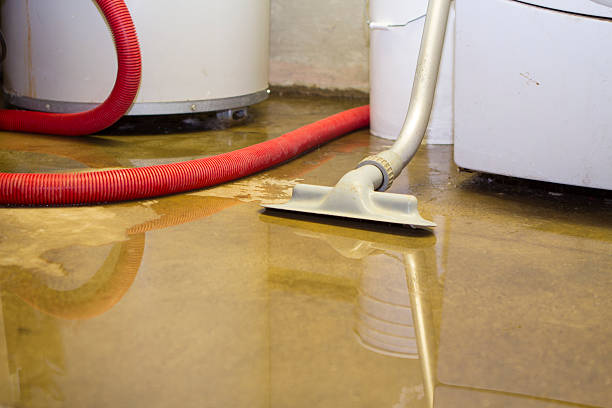 Best Water damage mitigation services  in USA